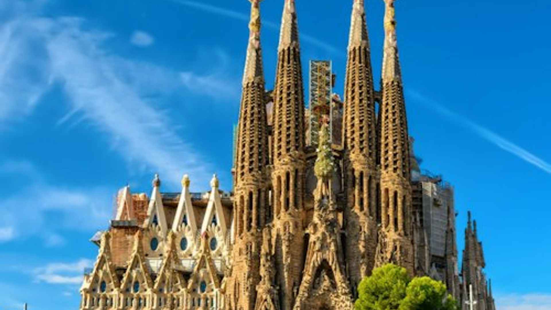 Sagrada Família & Park Güell: Reserved Entry + Guided Tour