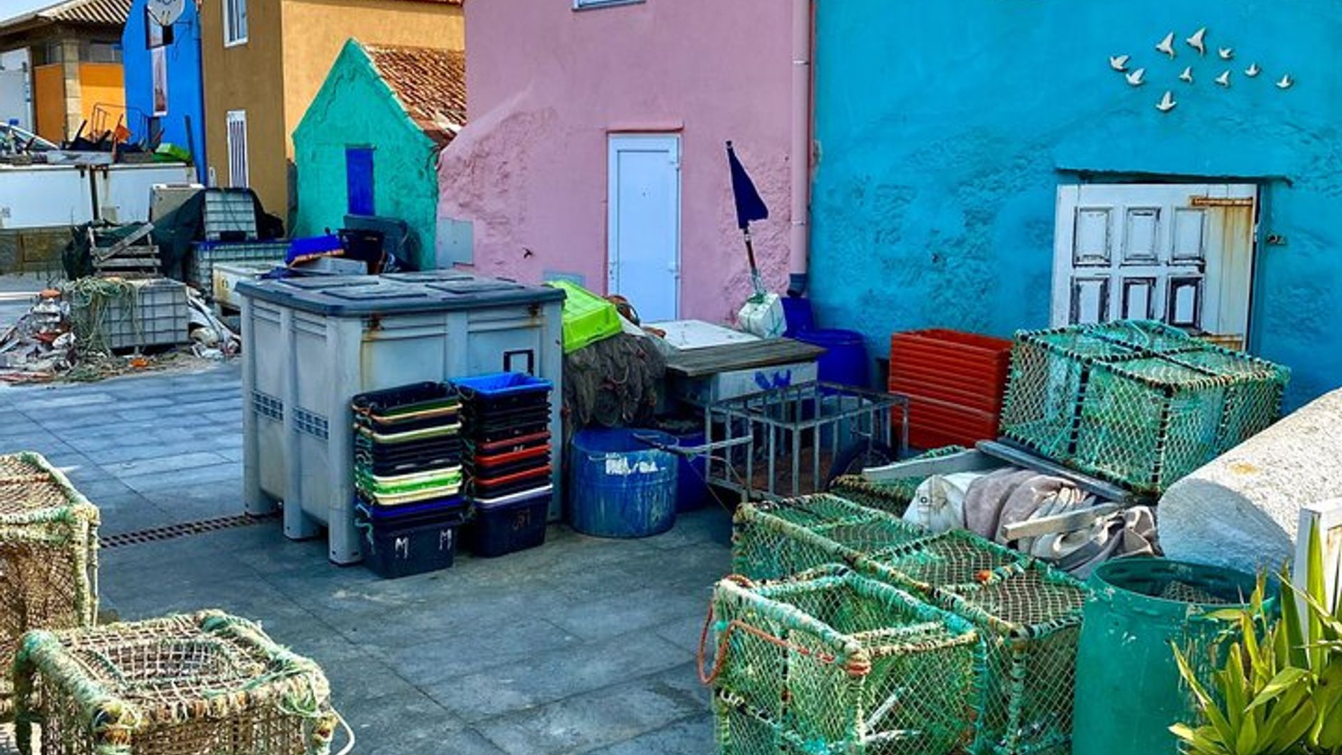 Private Fish Experience with Market-to-table lunch from Porto
