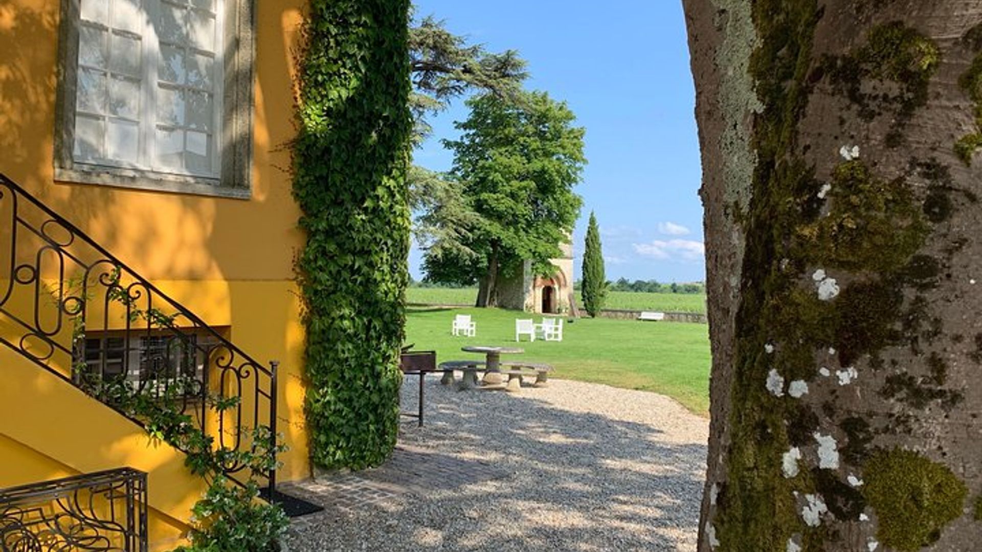 Private Führung und Besichtigung der Medoc Castle Route (Luxus-Minivan)
