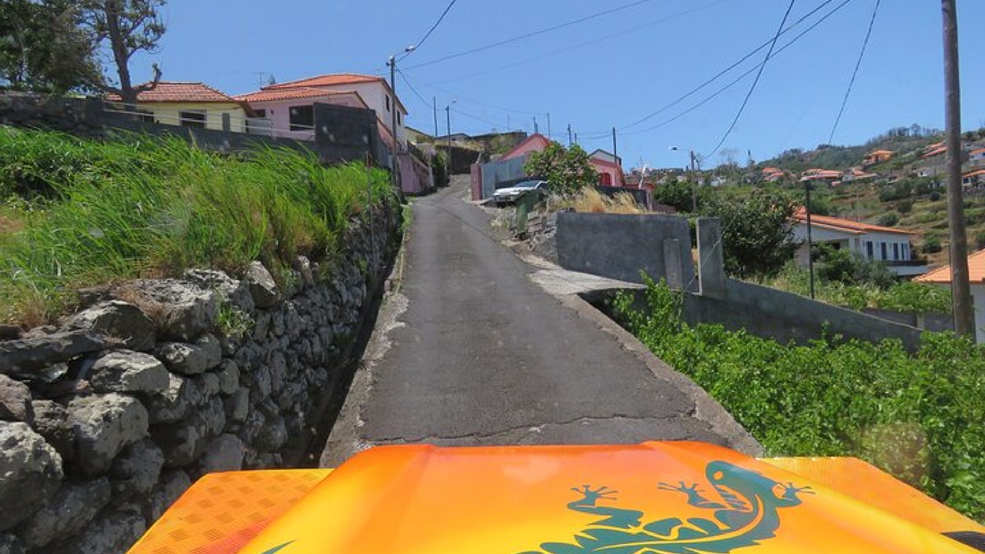 Vineyard Escapade and skywalk, a Wine Tour 4x4 Adventure