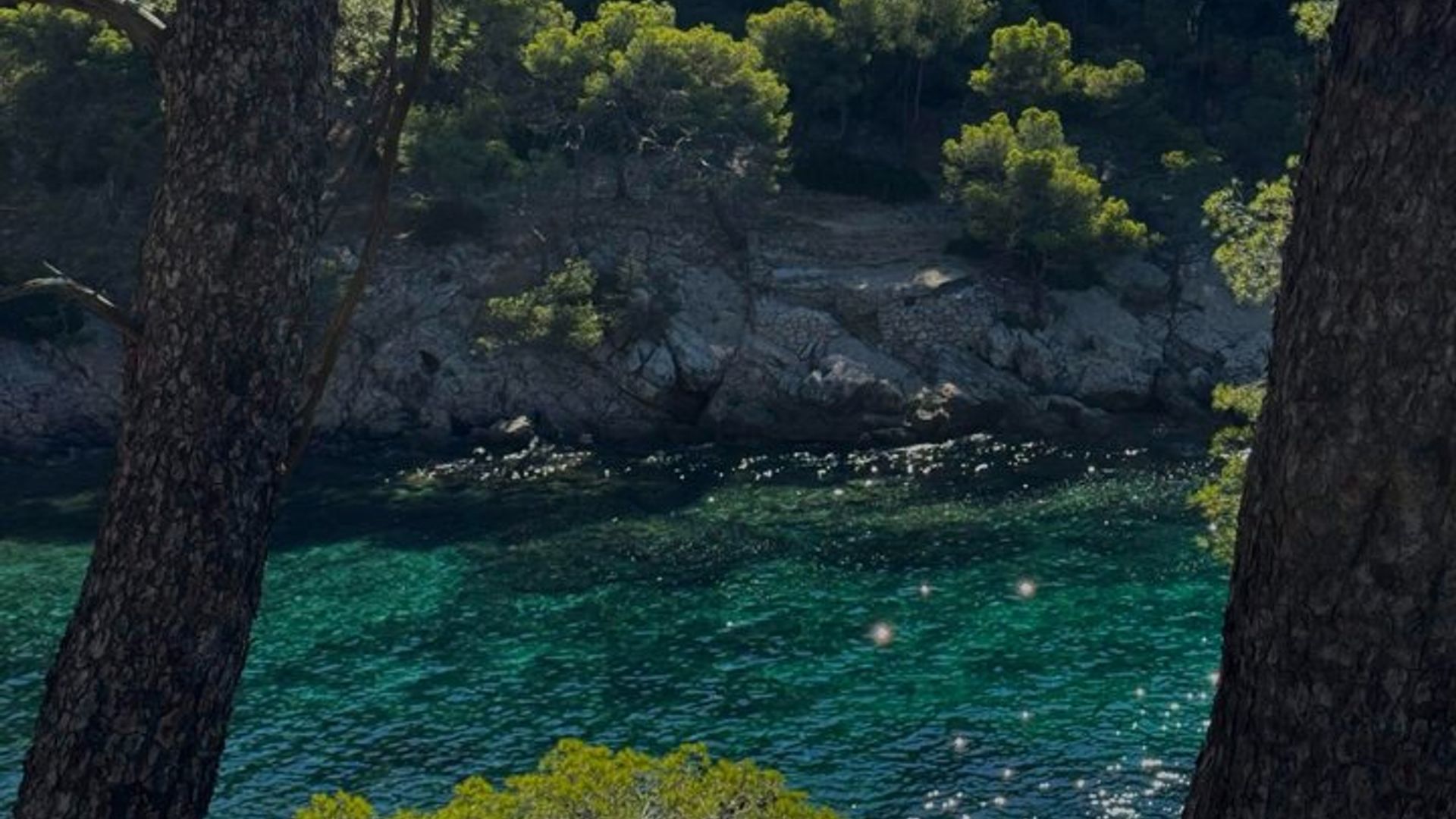 Private Full-Day Calanques Tour: St-Cyr to Cassis