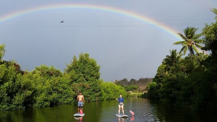 Oahu North Shore Small-Group Stand-Up Paddleboard Turtle Tour
