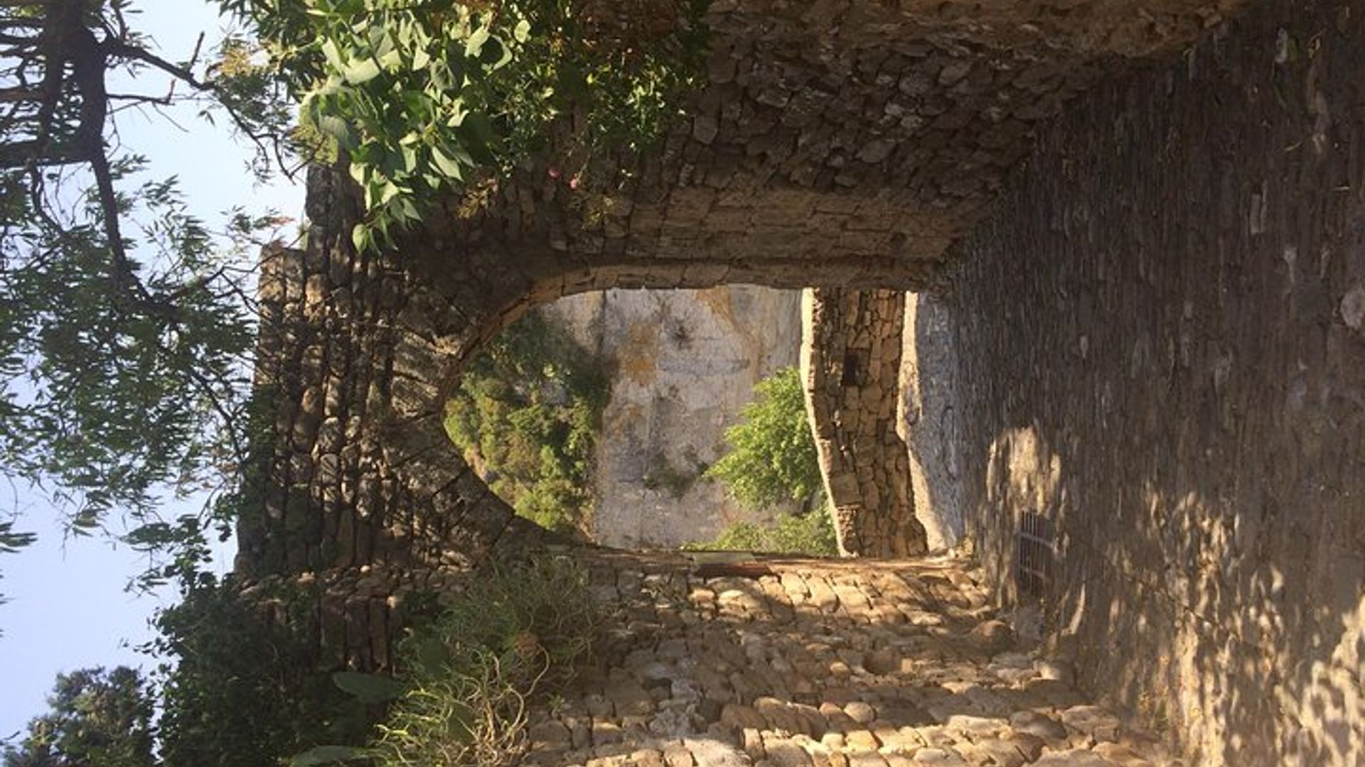 Carcassone Private Minerve, Canal du Midi, Visite Dégustation de Vins
