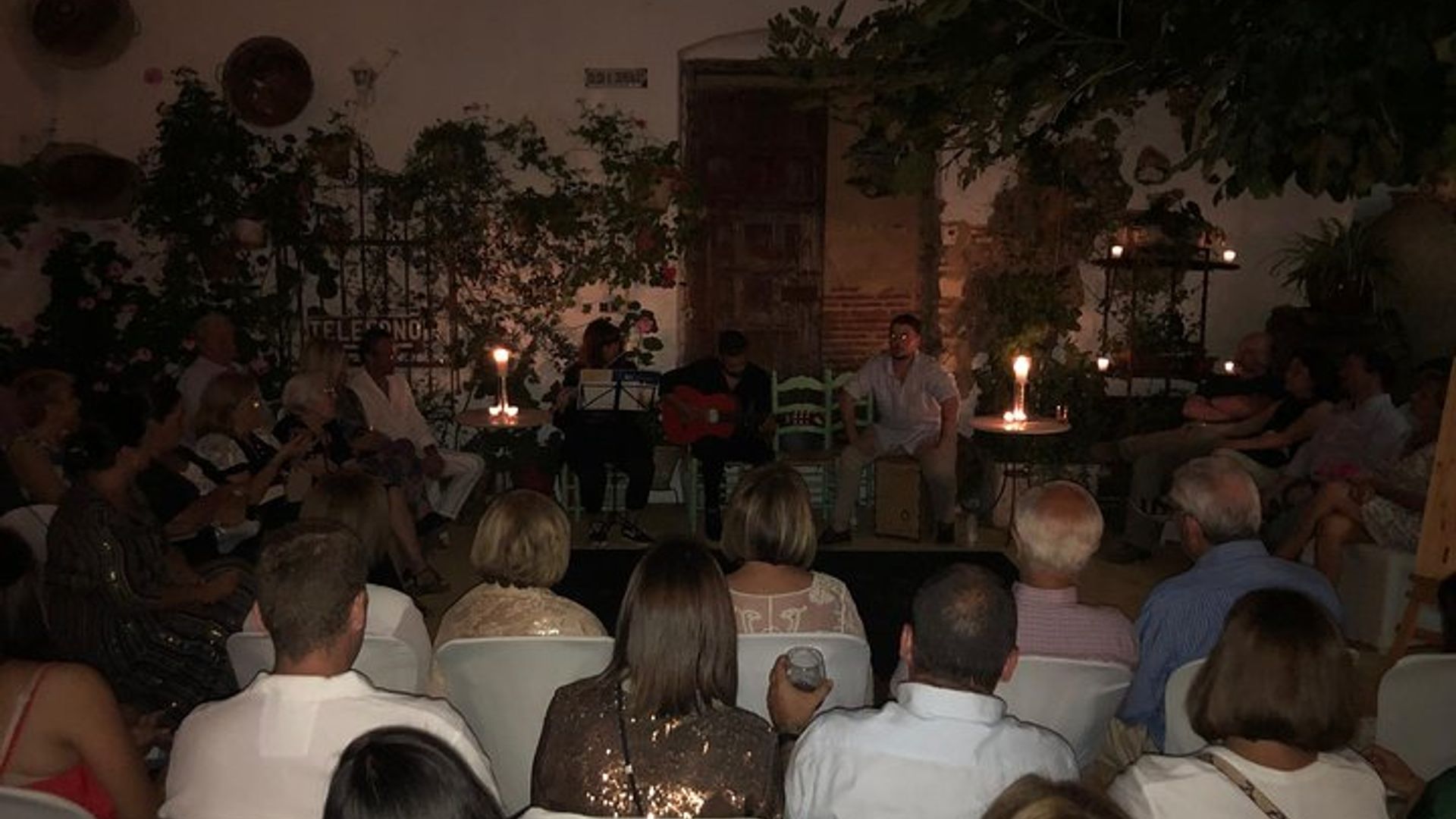 Actuación nocturna de flamenco andaluz con tapas
