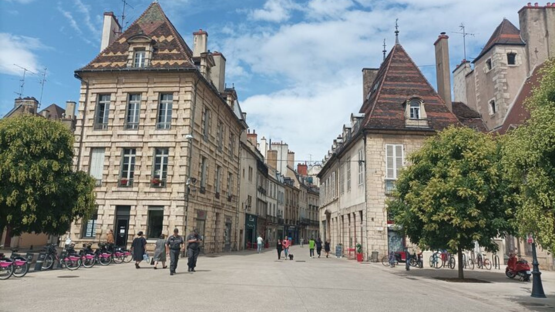 Tour privado en Dijon con su guía turístico oficial