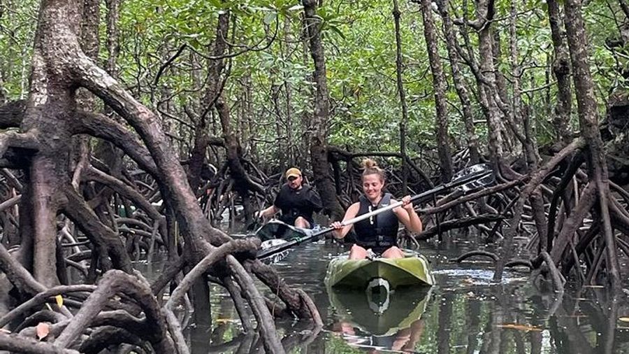 Half-Day Geopark Mangrove Kayaking Adventure