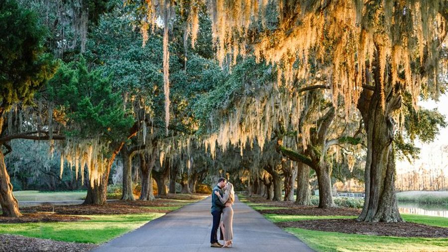 Capture Unforgettable Moments: Private Holiday Photography