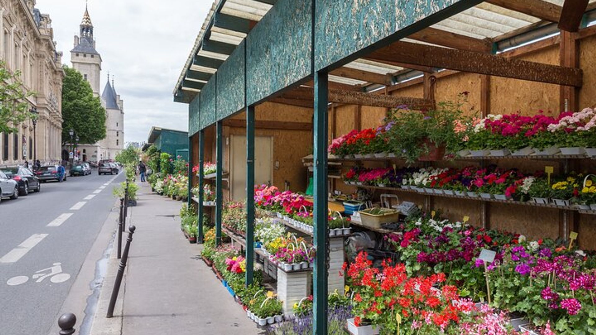 Paris Small-Group Notre Dame Cathedral Exterior Tour and Crypt