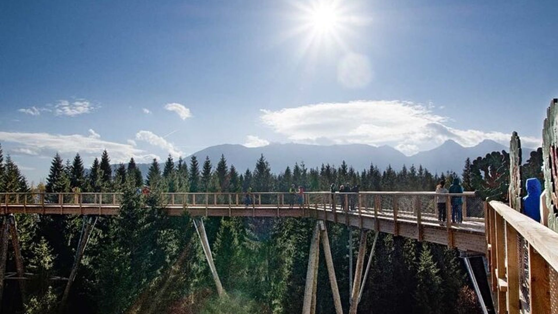 Krakau : Slowakei Baumkronenwanderung und Zakopane Tour
