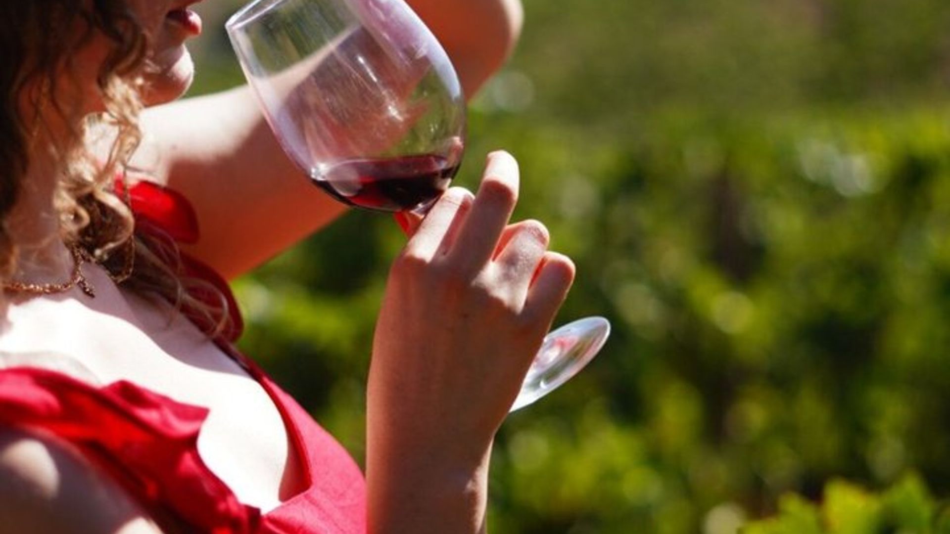Tour de día completo de Albufeira a Silves y bodegas con degustaciones