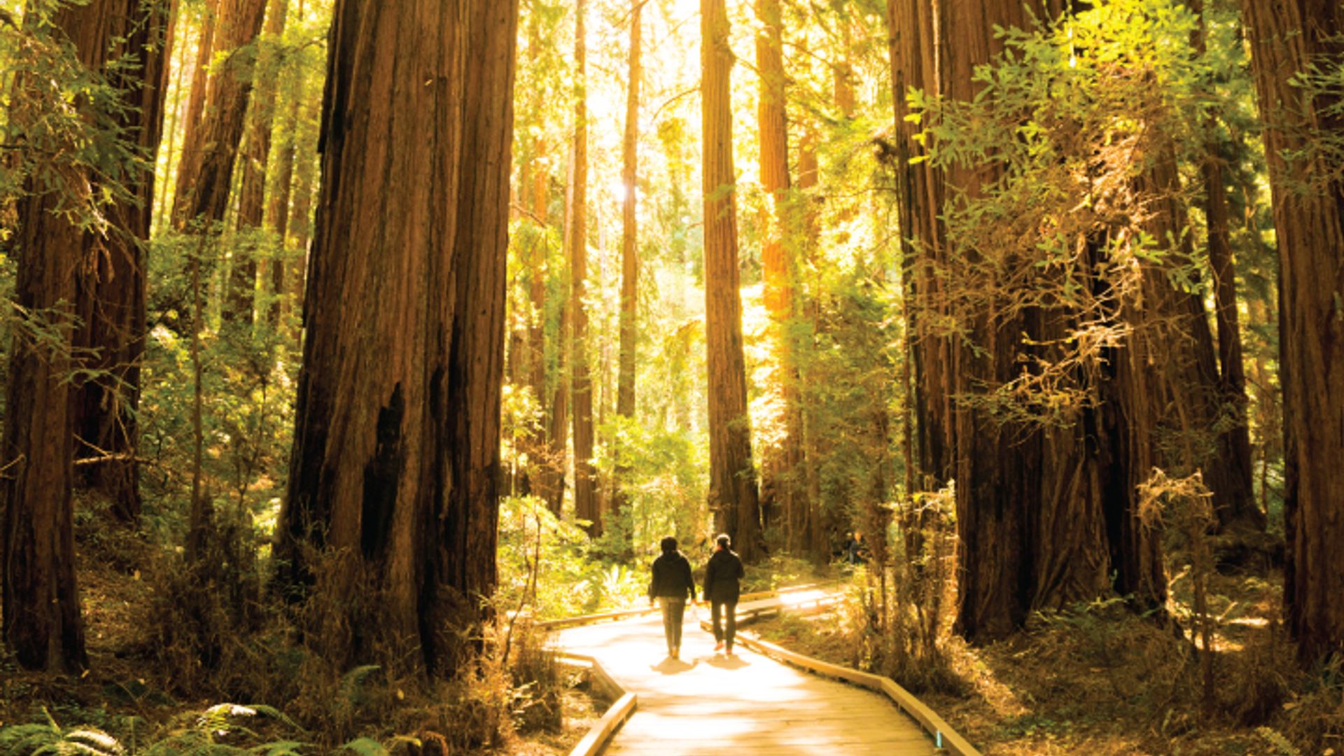Woods & Wine Country Tour image 2
