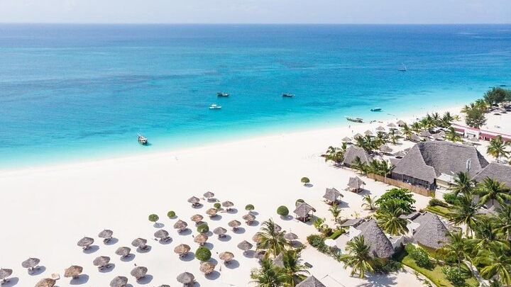 10-Day Tanzania Safari Experience