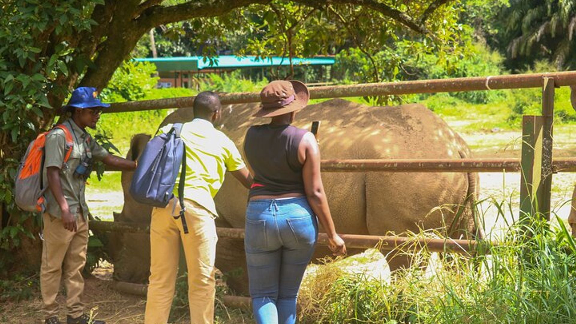 Explore Entebbe on Foot