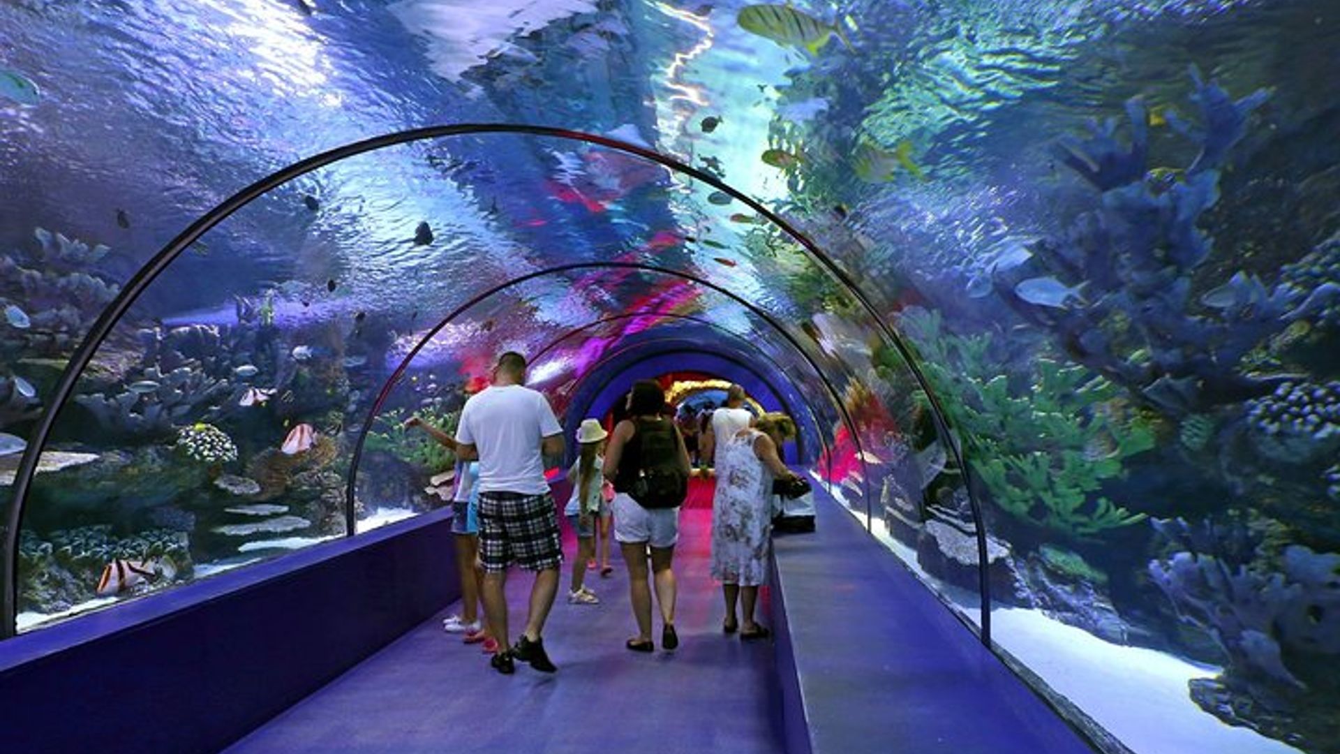 Aquarium et musée de cire Face2Face de Belek