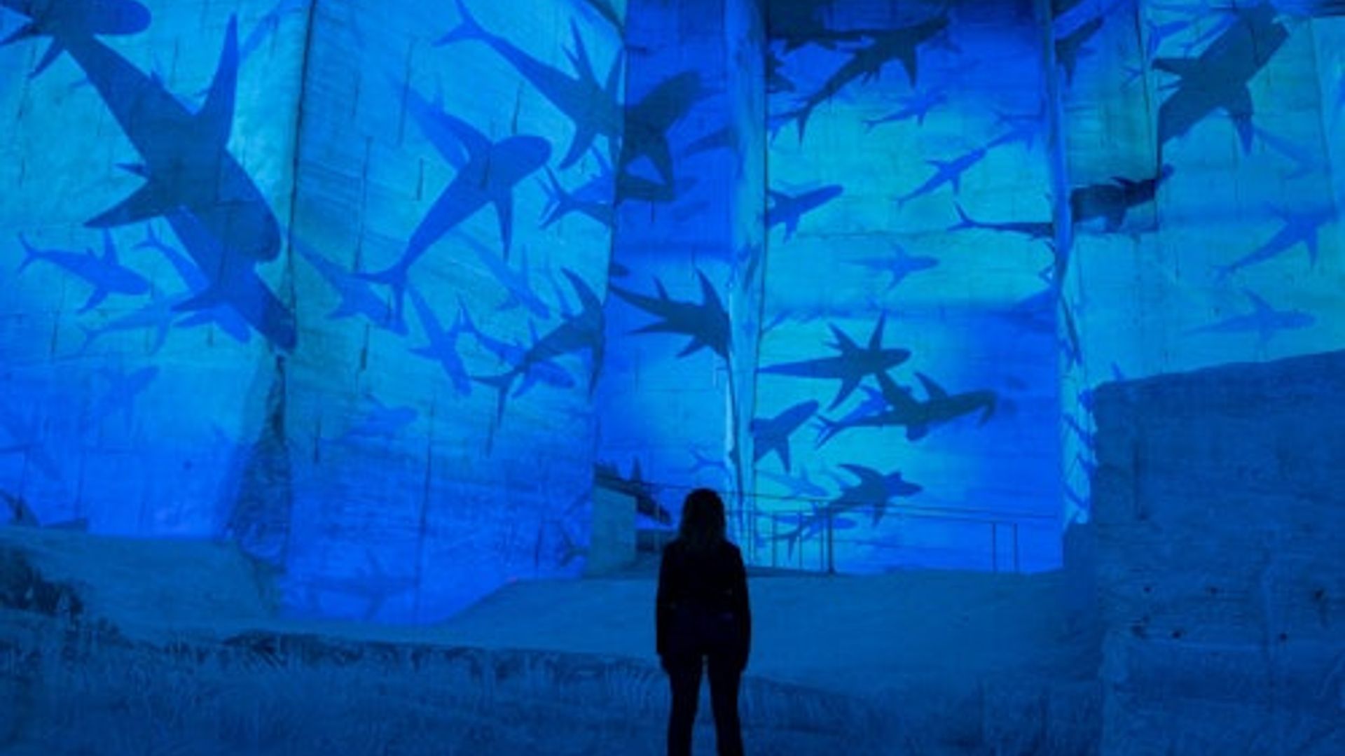 Carrières des Lumières: Ocean Exhibition