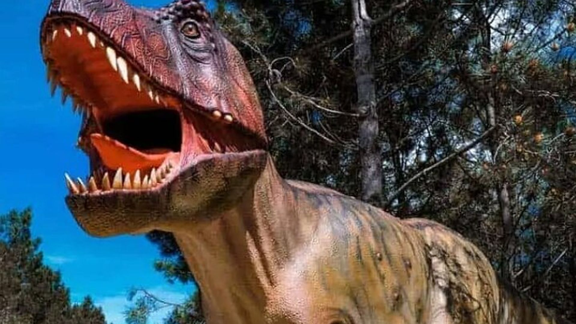 Lisbonne : Visite du parc des dinosaures avec transport privé aller-retour