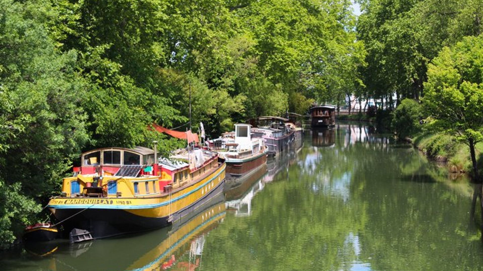 Canal du Midi guided cruise UNESCO