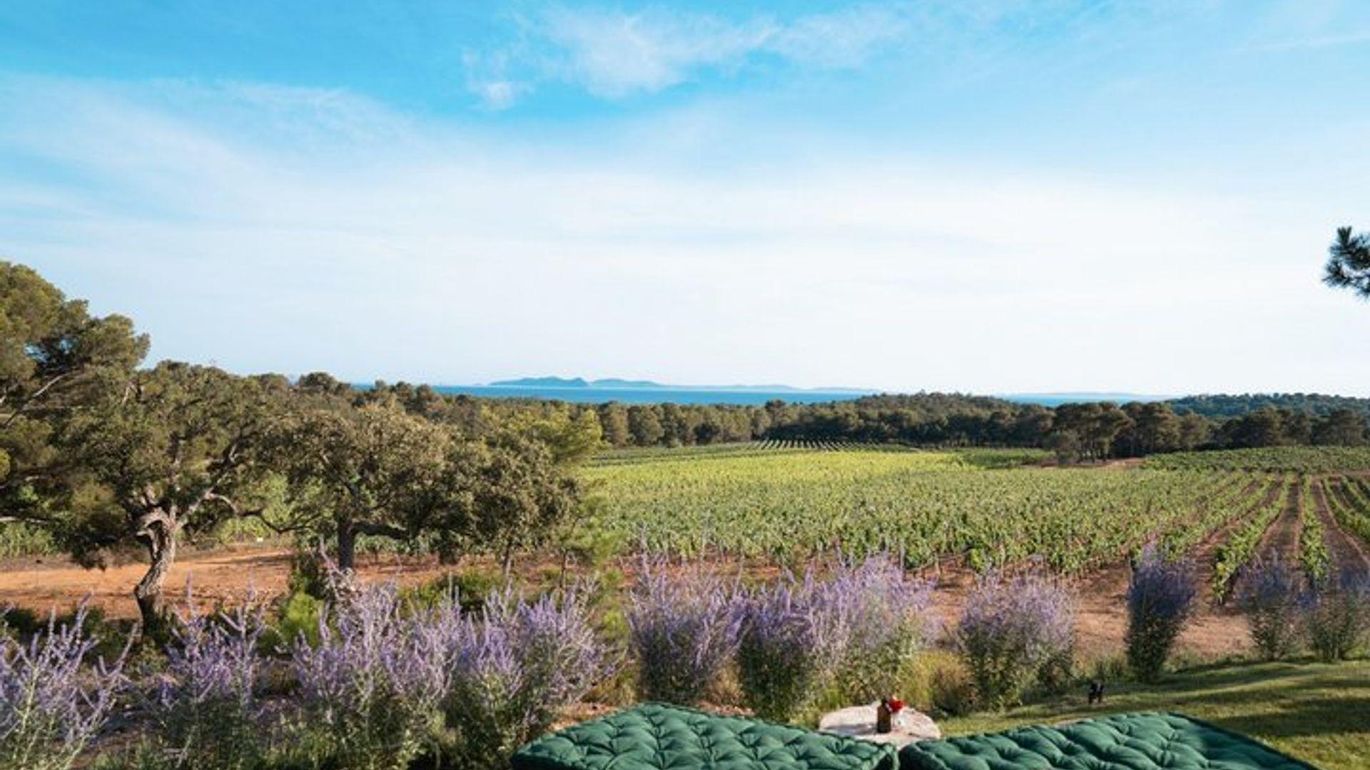 Tour en viñedo de la Riviera Francés y degustación de vinos para grupos pequeños
