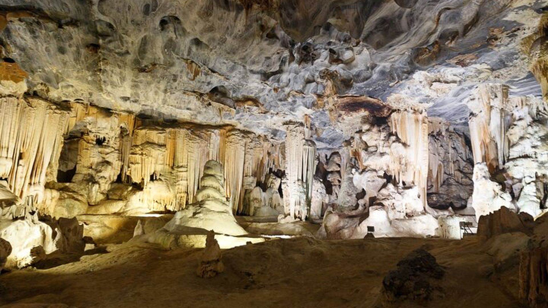 Tour privado de 3 días y 2 noches por la ruta del jardín desde Ciudad del Cabo