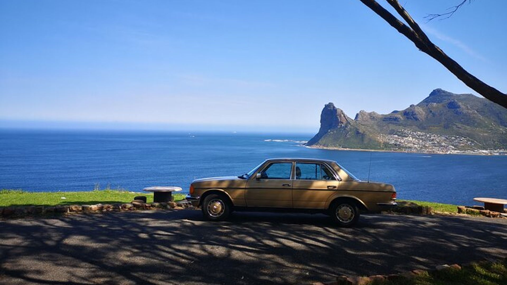 Ciudad del Cabo: tour privado en coche antiguo de Chapman's Peak