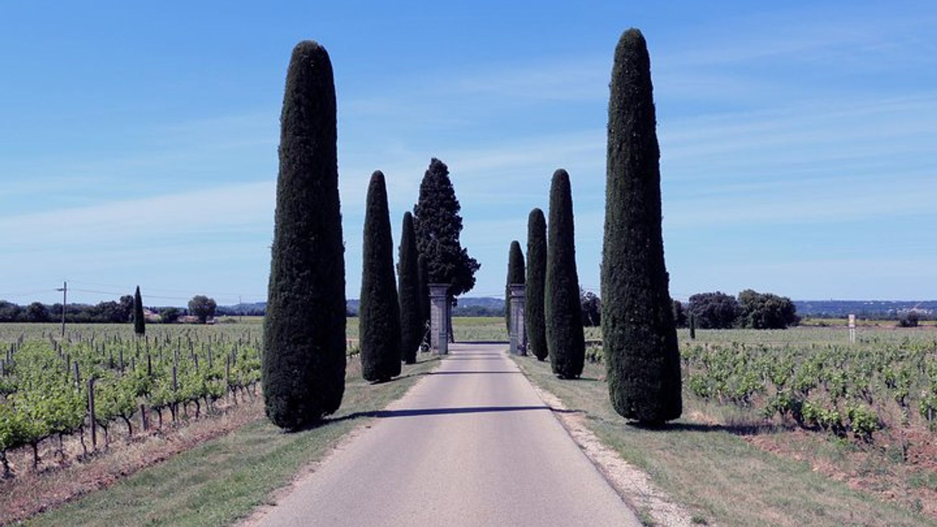 Experiencia intensiva de viñedos y vinos finos en Châteauneuf Du Pape