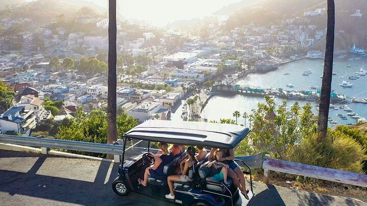 Catalina Island: Private 2-Hour Tour of Avalon