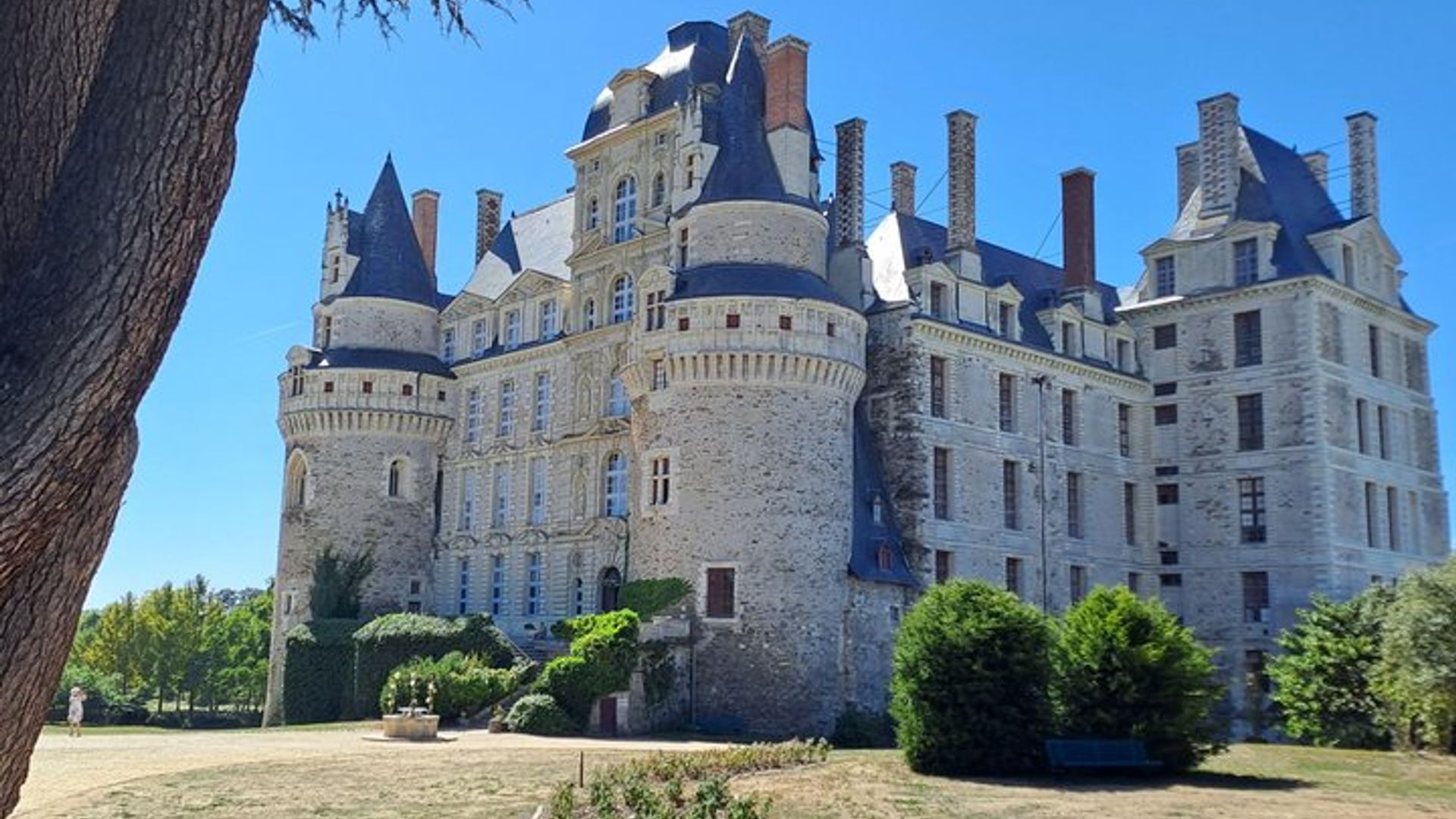 Anjou Chateau and Wine Discovery Full day