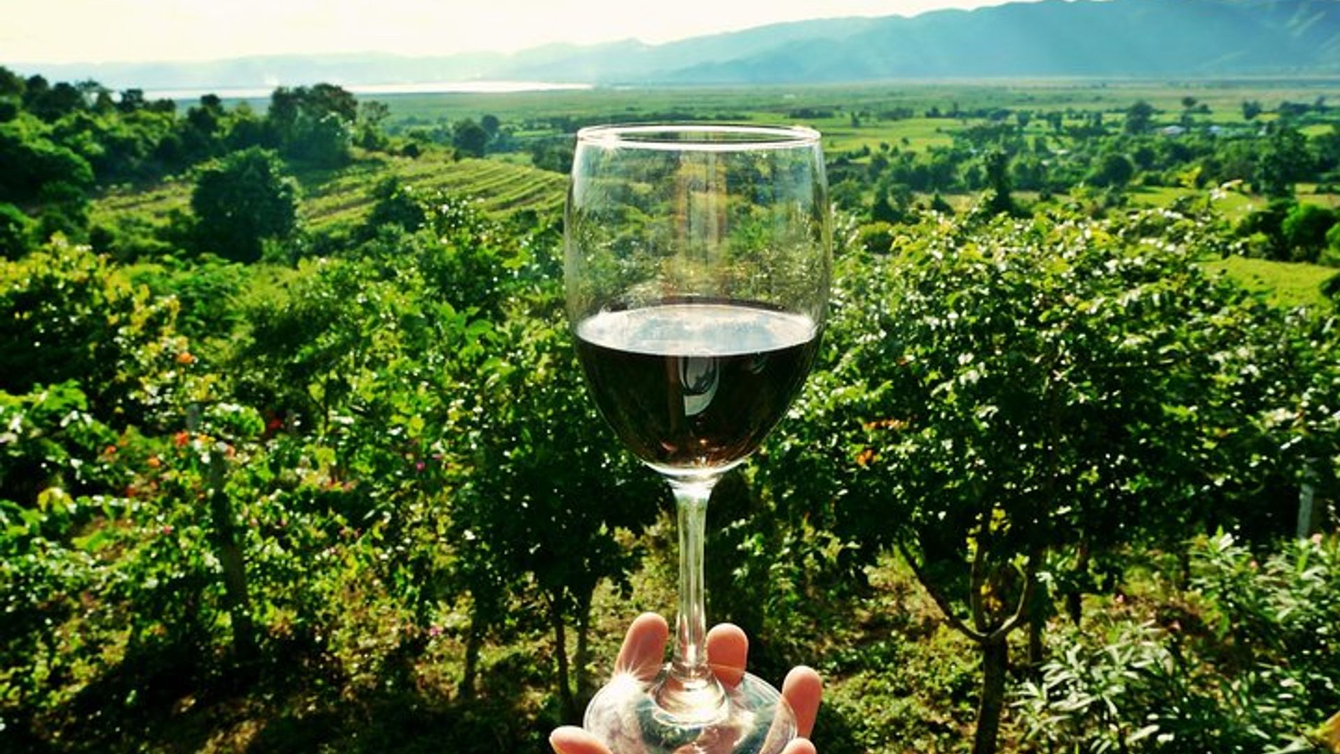 Prosecco and Wine: Private Tour with Tasting