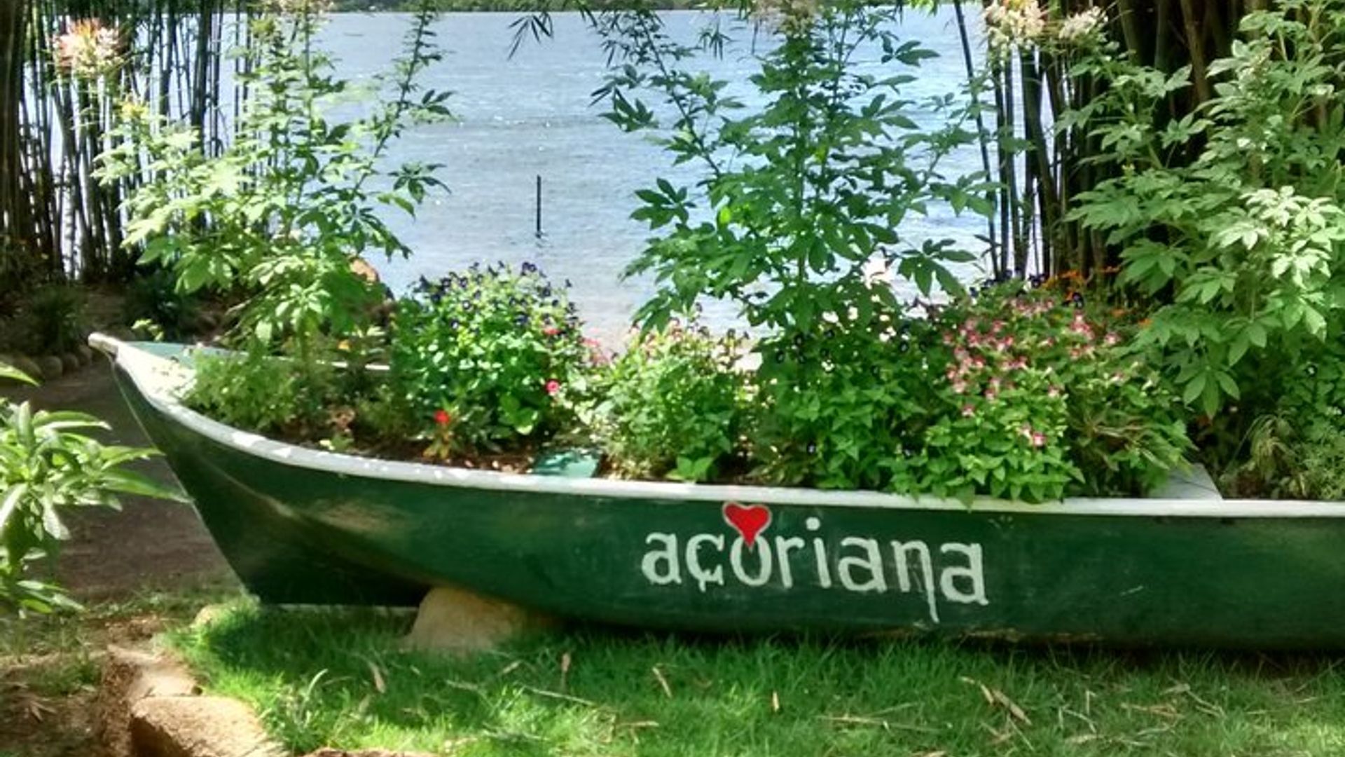 Navigate the local culture of Costa da Lagoa