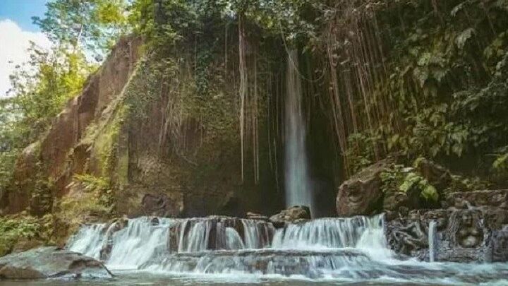 Private Tour to Sumampan Waterfall, Monkey forest, Rice terraces and Swing