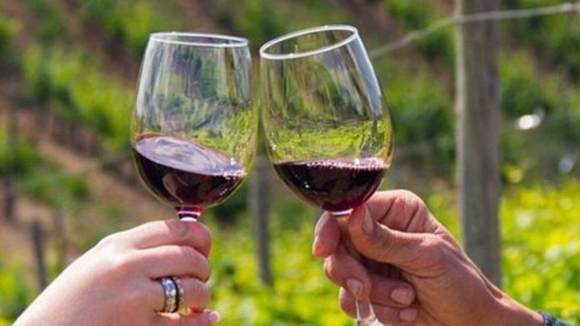 Alentejo Private Tour mit Weinerlebnis