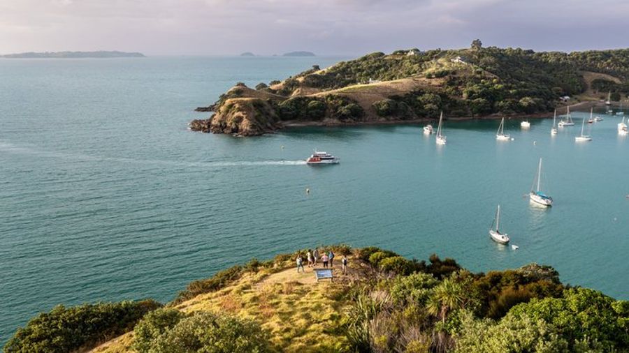 Waiheke Island Small-Group Coastal Day Walk with Lunch