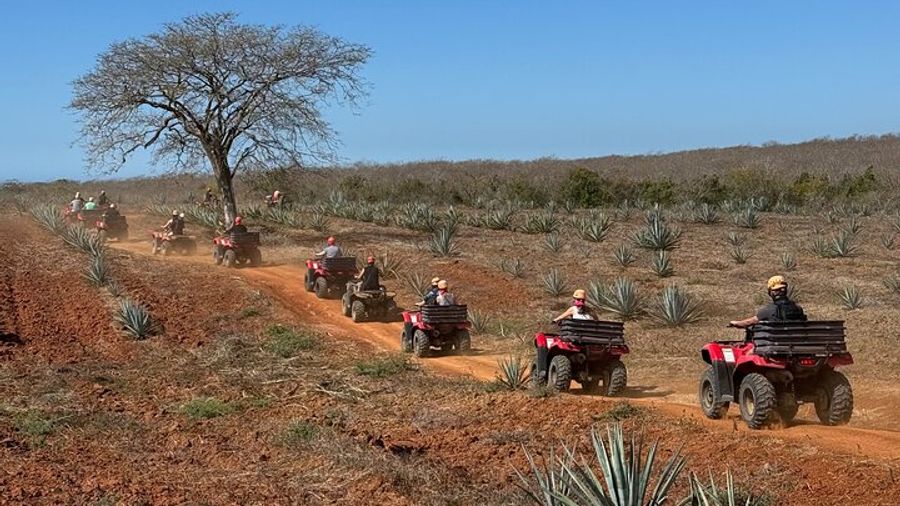 ATV & Temazcal combo with lunch and Mezcal tour
