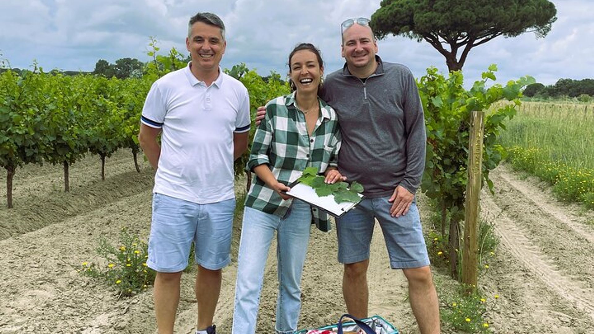 Excursión de un día a la Camarga: flamencos, vino y Aigues-Mortes