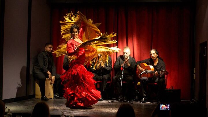 Authentic Flamenco Show Barcelona : Intimate Casa Sors Experience