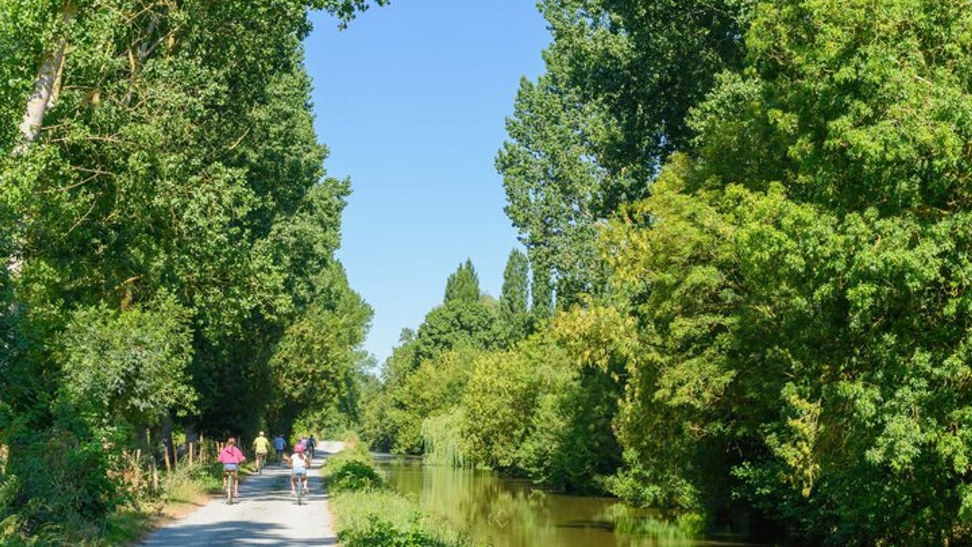 Escapada en bicicleta por la Venecia verde