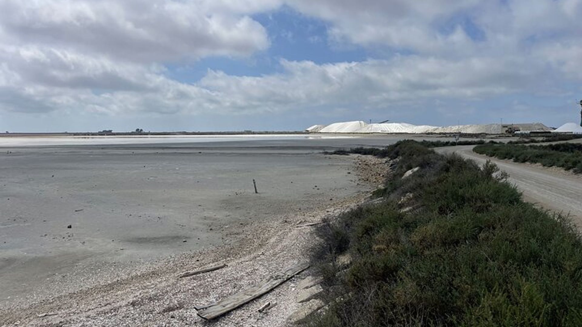 Day in Camargue Aigues-Mortes and St Marie de la mer