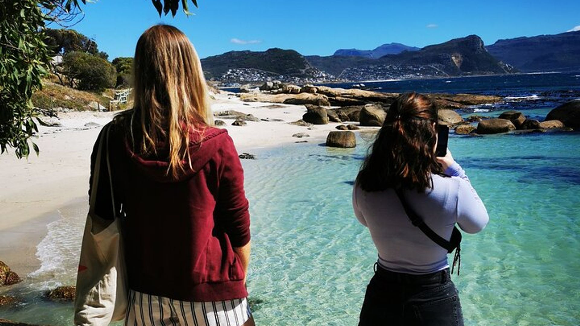 Cape Point Small-Group Guided Tour
