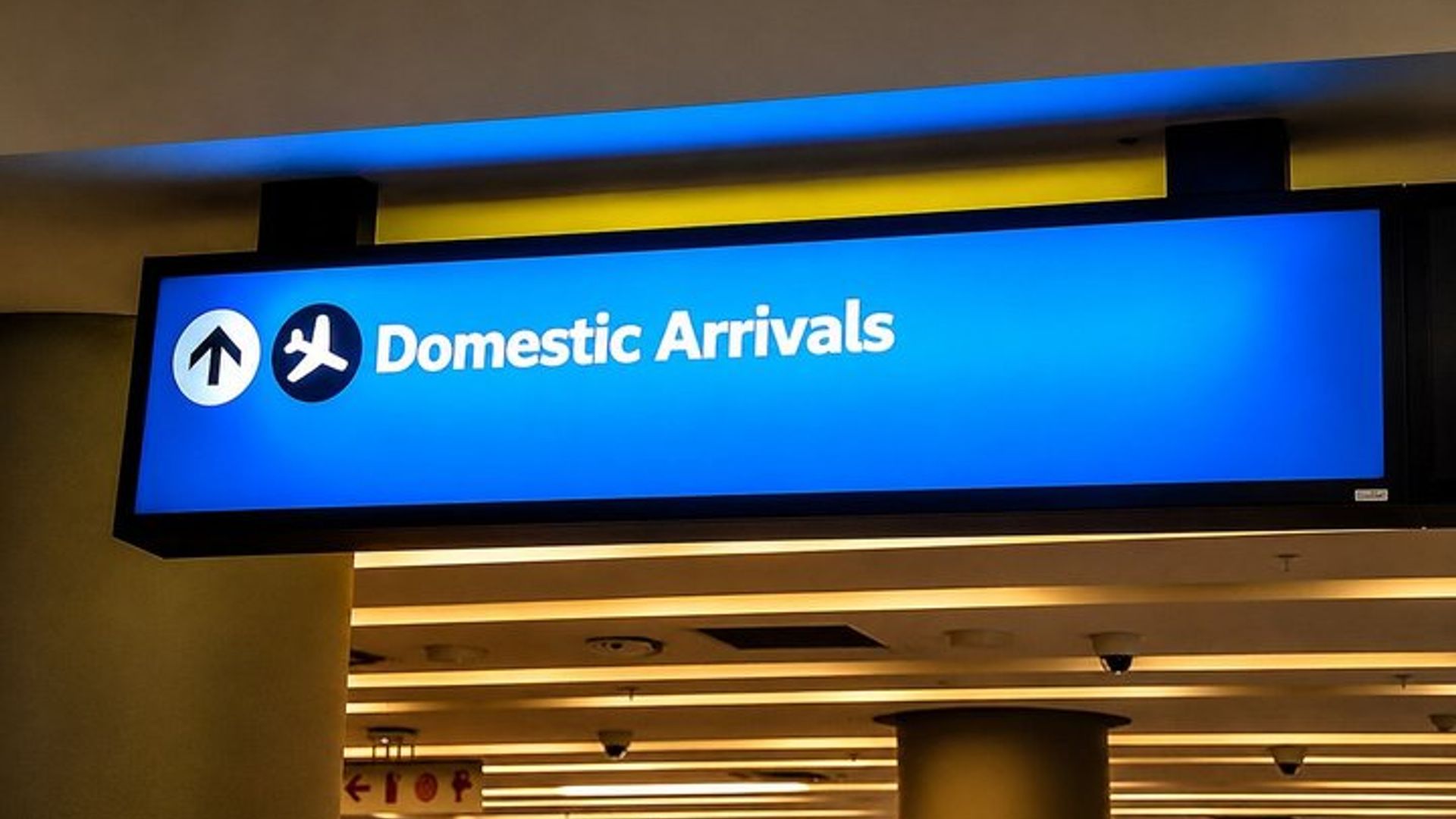 Cape Town: Cruise Terminal Transfer to Airport
