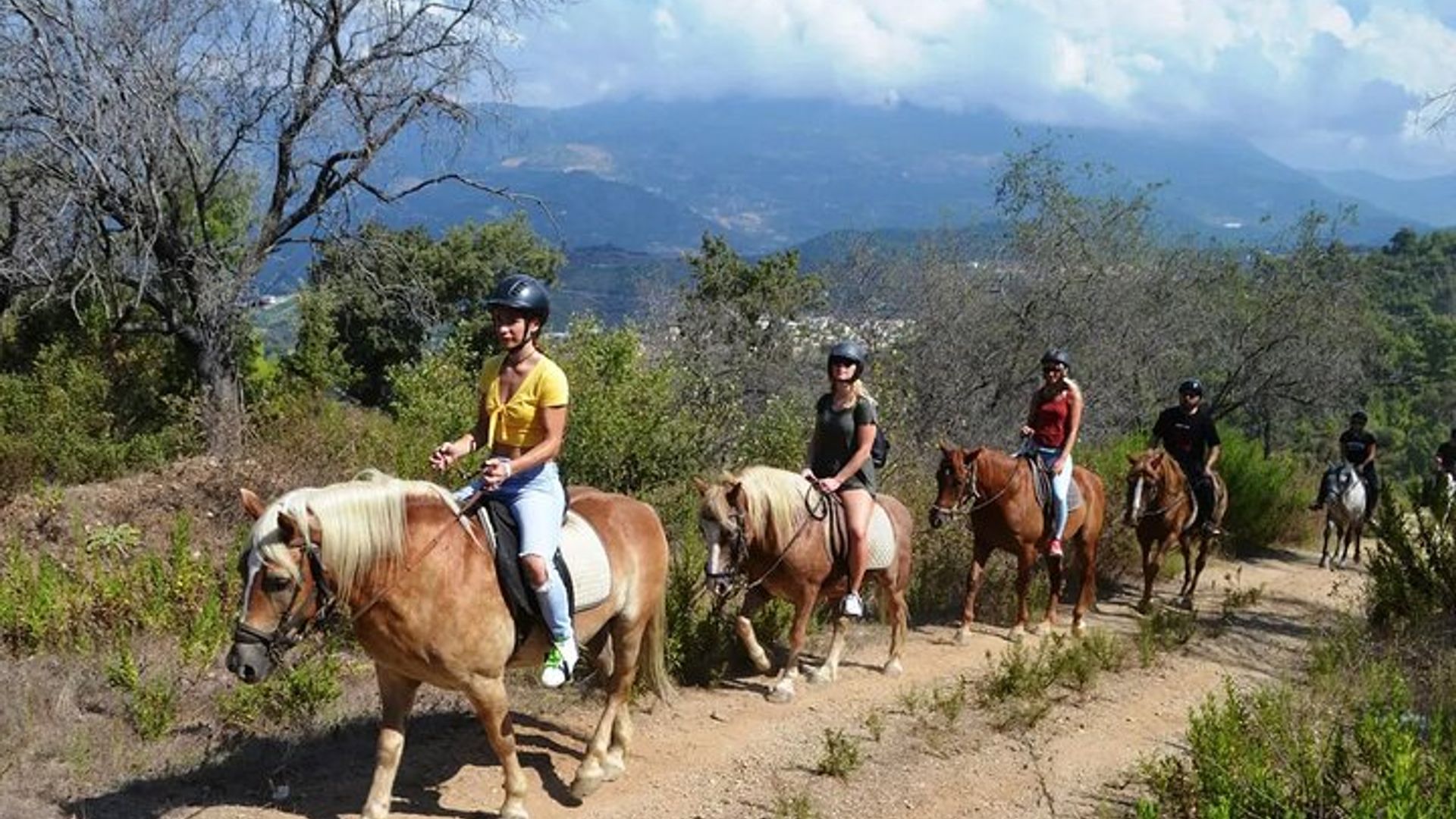 Side Horse Safari in Forest and Beach with Transfer