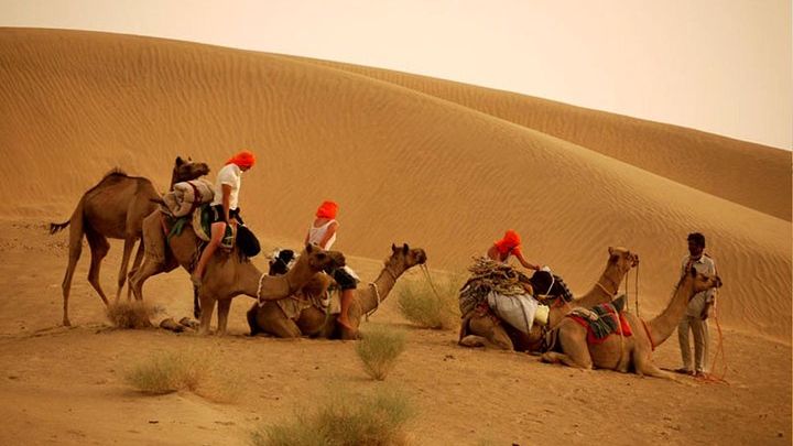 Private Overnight Camel Safari on Less-Busy Route, Thar Desert