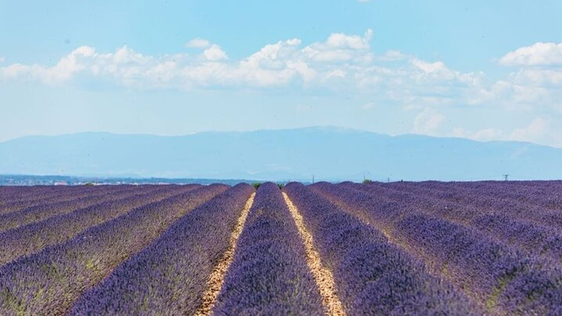 Tour privado de Gargantas de Verdon y Campos de lavanda en Niza