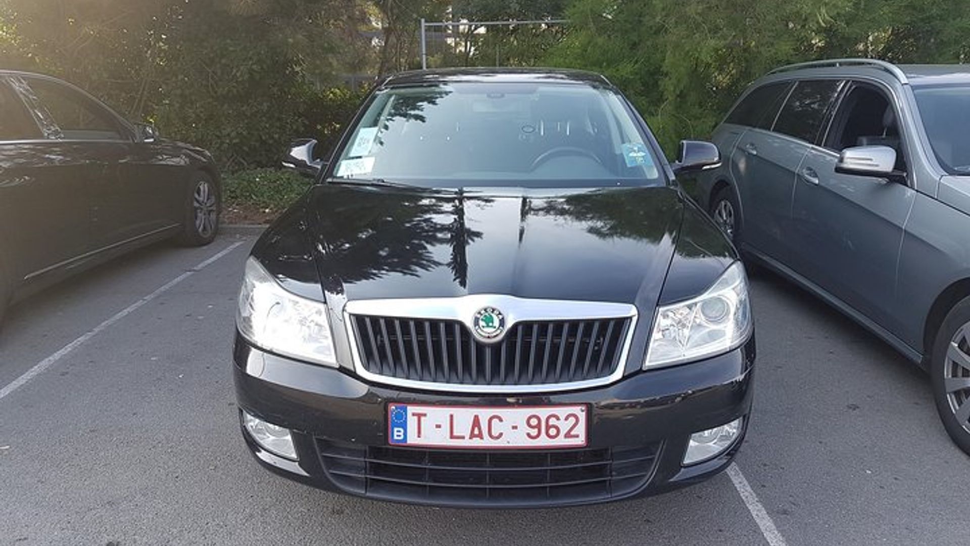 Private Tour Transfer from Brussels Airport to the City of Brussels