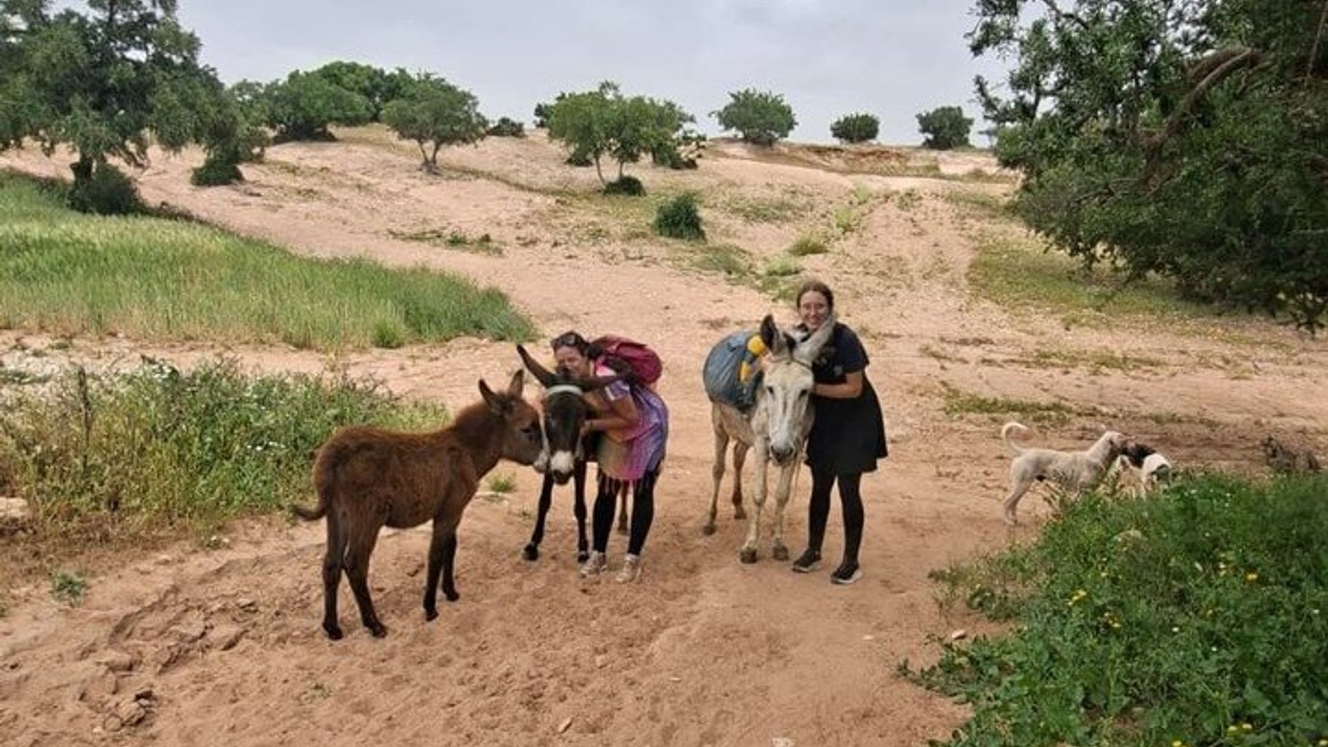 Balade à dos d'âne et thé à Essaouira