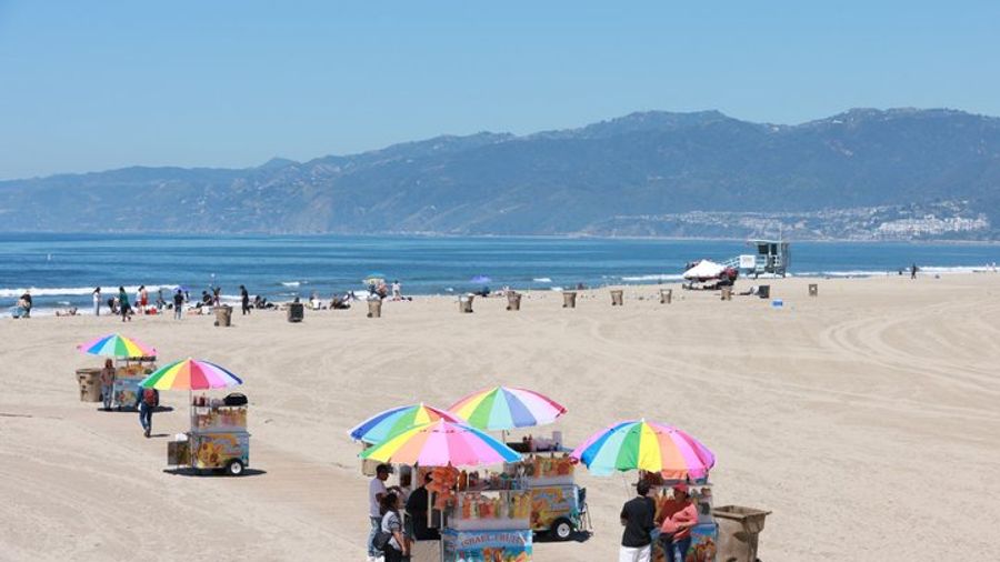 Grand LA Tour 7 Hour Open Bus Adventure from Santa Monica