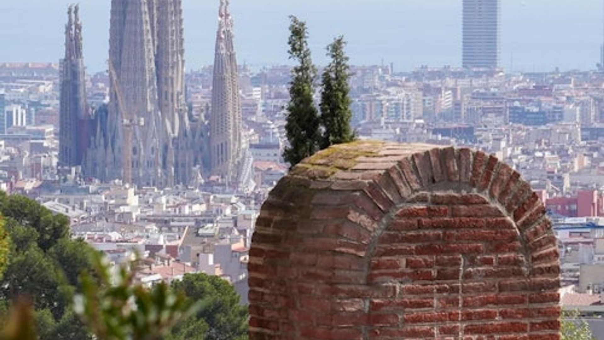 Sagrada Familia & Park Güell: Fast Track Ticket + Guided Tour + Tower Access