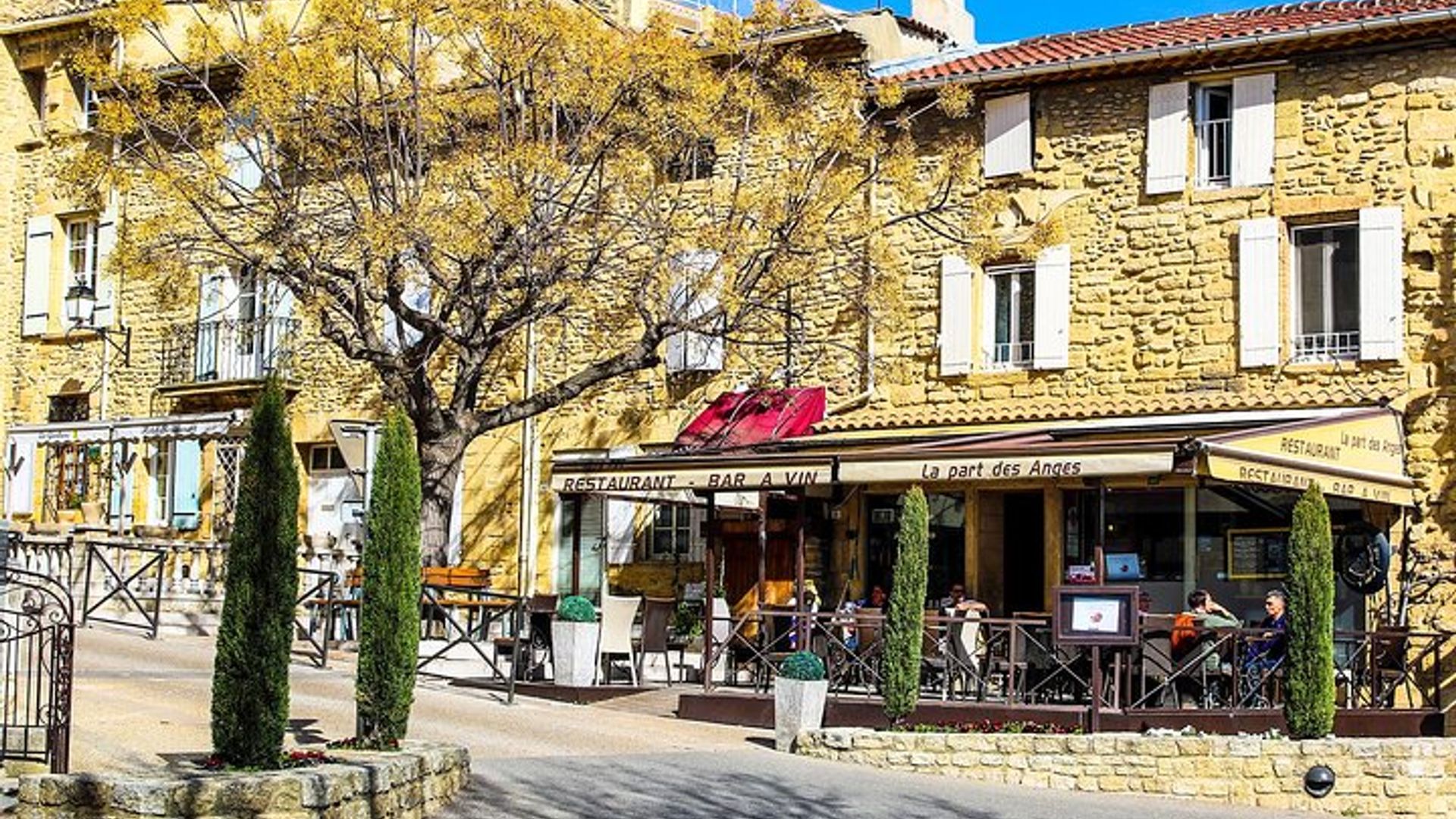 Châteauneuf Du Pape expérience viticole intensive et vins fins