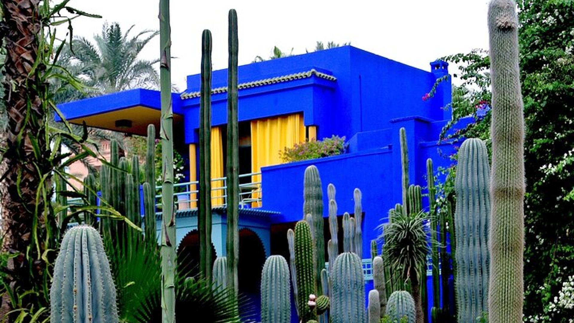 Majorelle Garden Experience: Ticket And Hassle-Free Transfers
