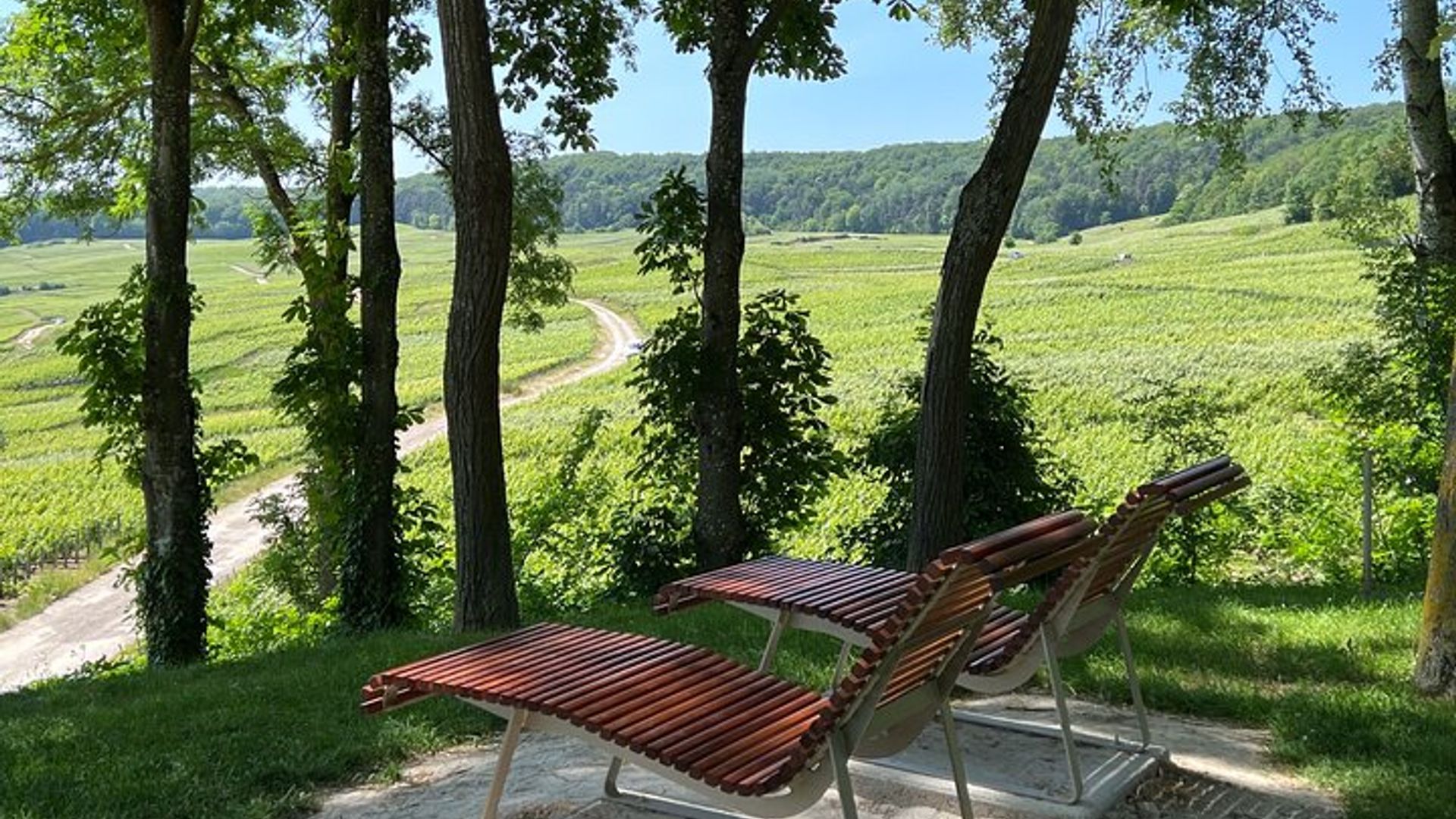 Visite du Champagne d'Epernay avec dégustation
