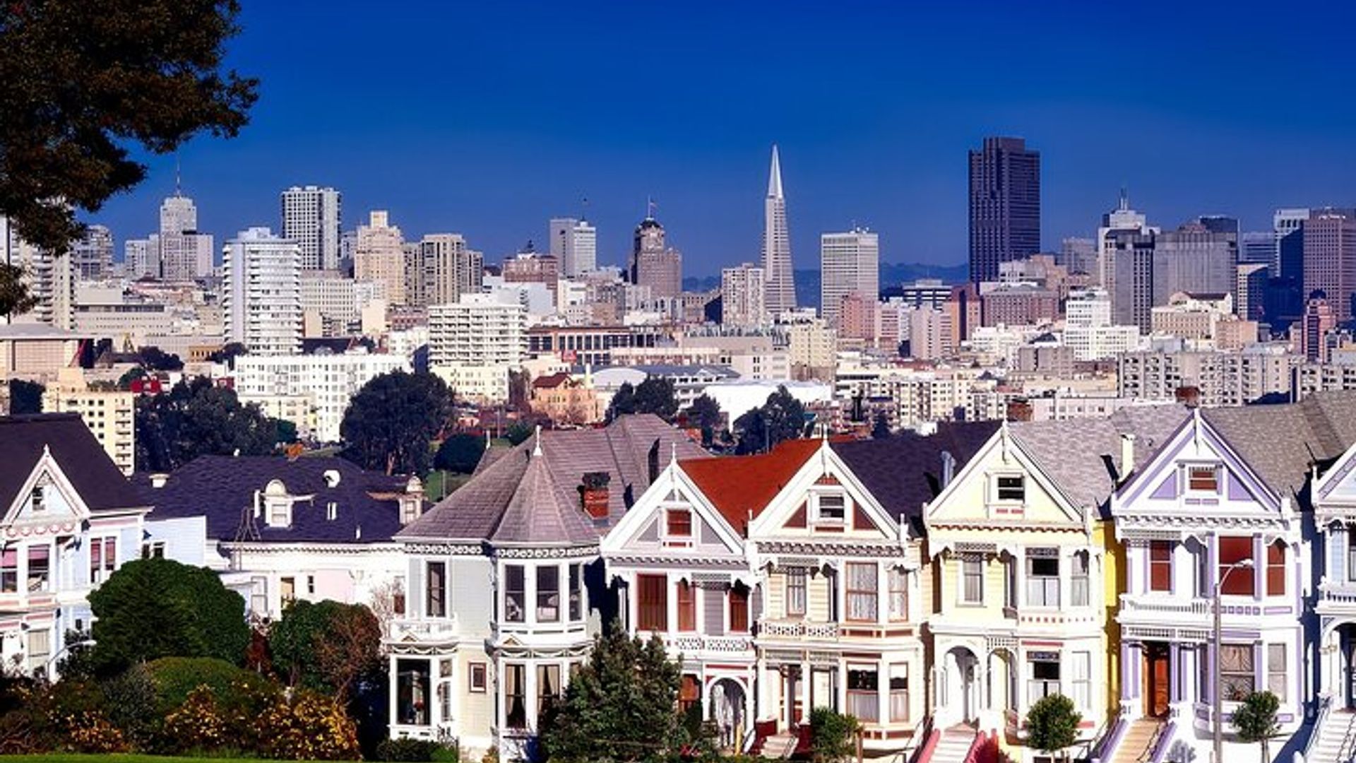 San Francisco and Sausalito Small-Group Driving Tour image 1